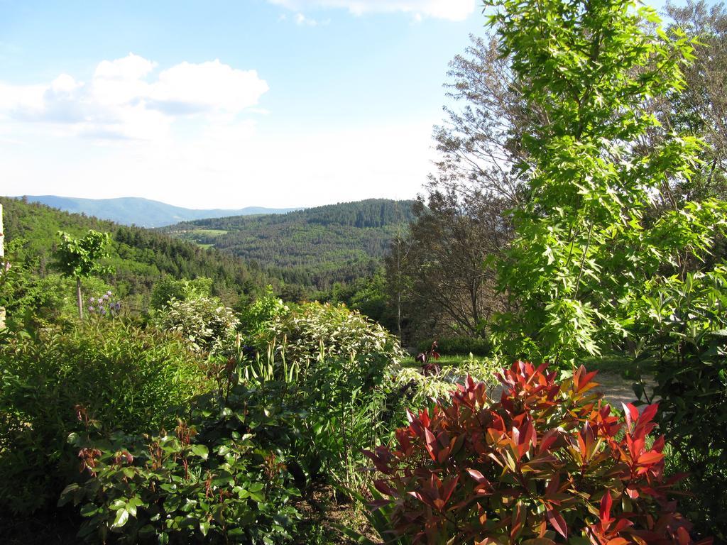 Saint Maurice en Chalencon Le Petit Rias Gite Soleil מראה חיצוני תמונה